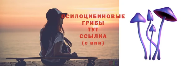 индика Алзамай