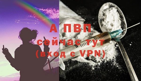индика Приозерск