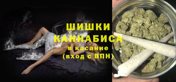 индика Приозерск