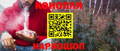 индика Камень-на-Оби