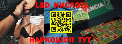 индика Камень-на-Оби