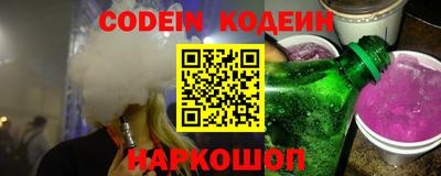 индика Камень-на-Оби