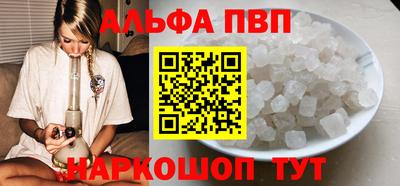 индика Камень-на-Оби