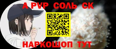 индика Камень-на-Оби