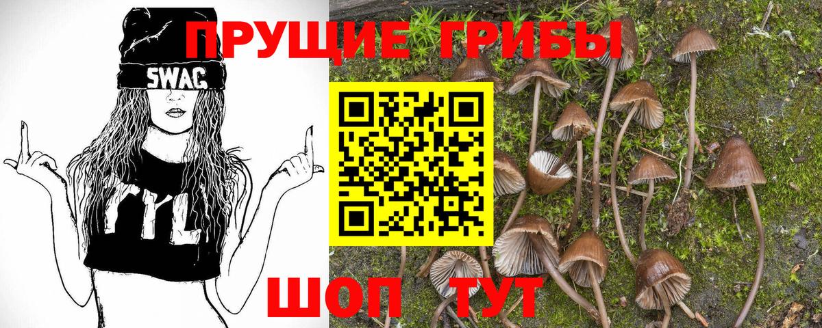 Галлюциногенные грибы Psilocybine cubensis Карабулак